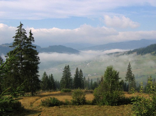 Bukowina Landschaft